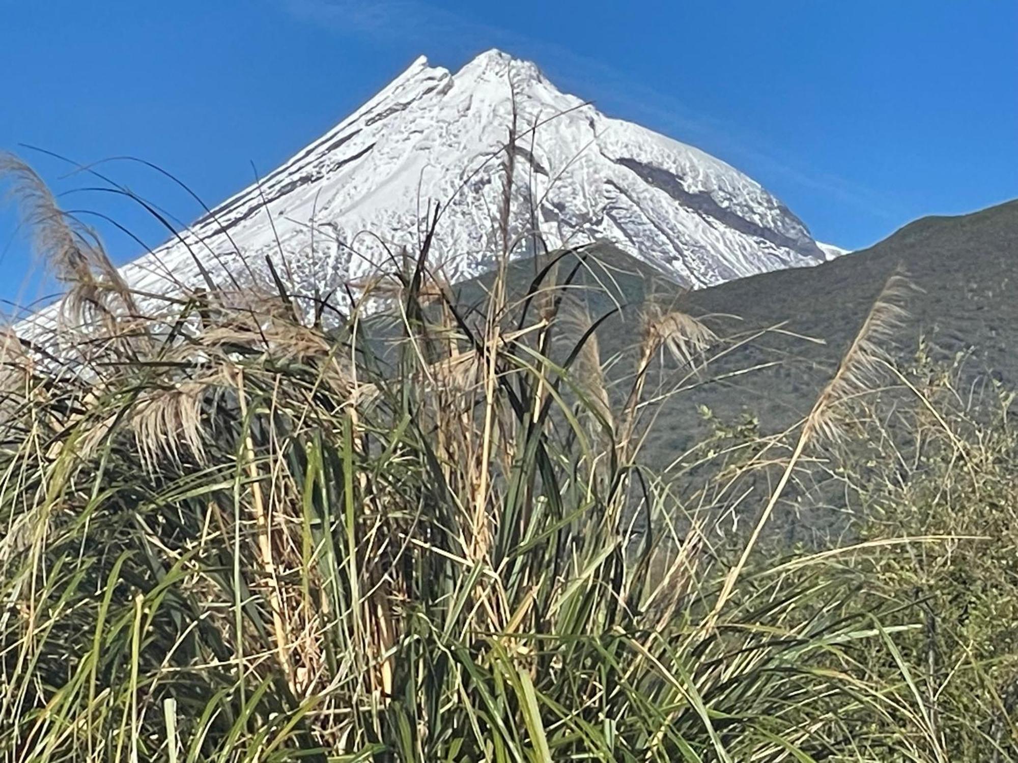 Mangorei Heights - New Plymouth Bed and Breakfast Exteriör bild